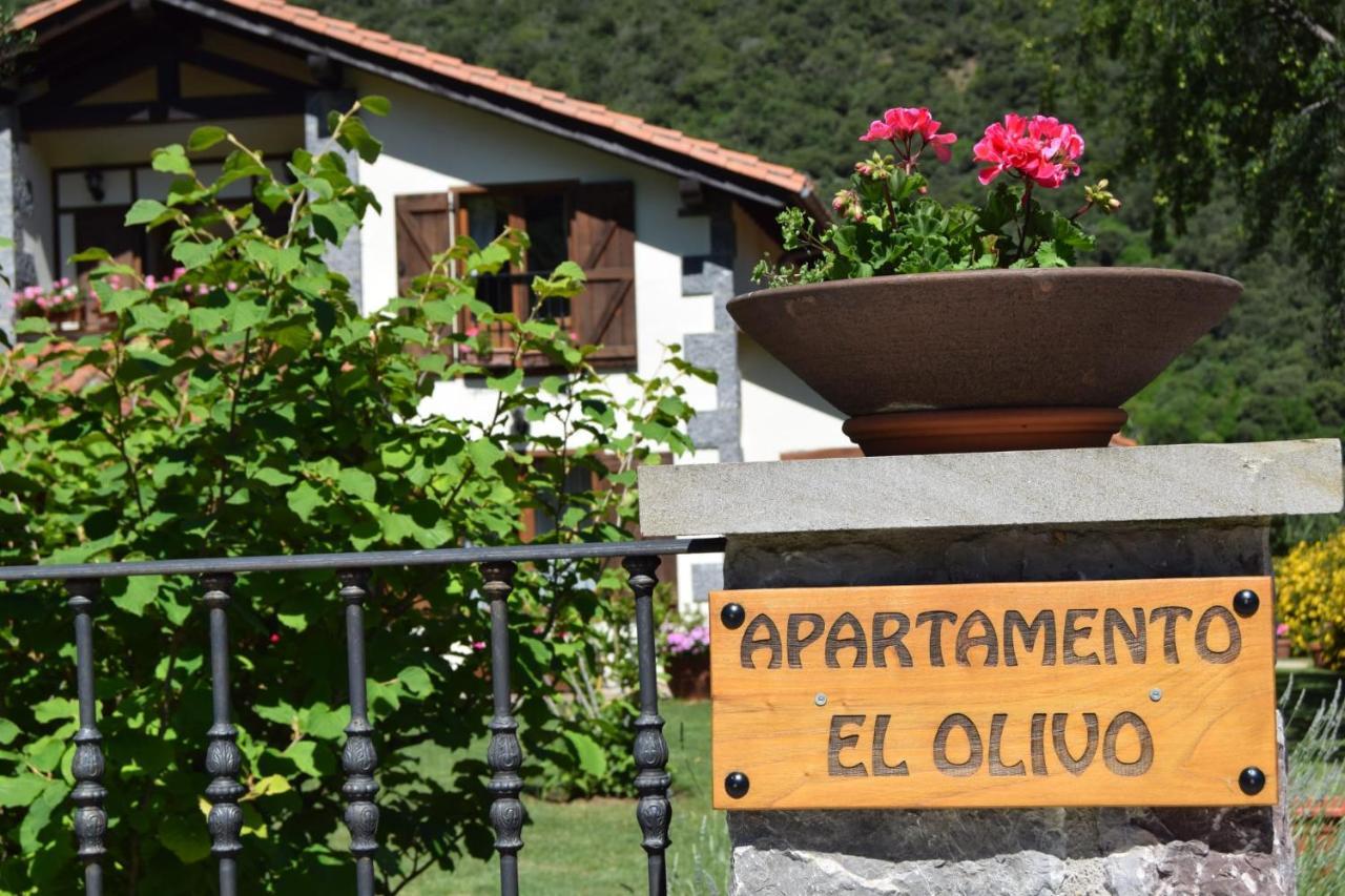 Excepcional Apartamento El Olivo Охедо Екстериор снимка